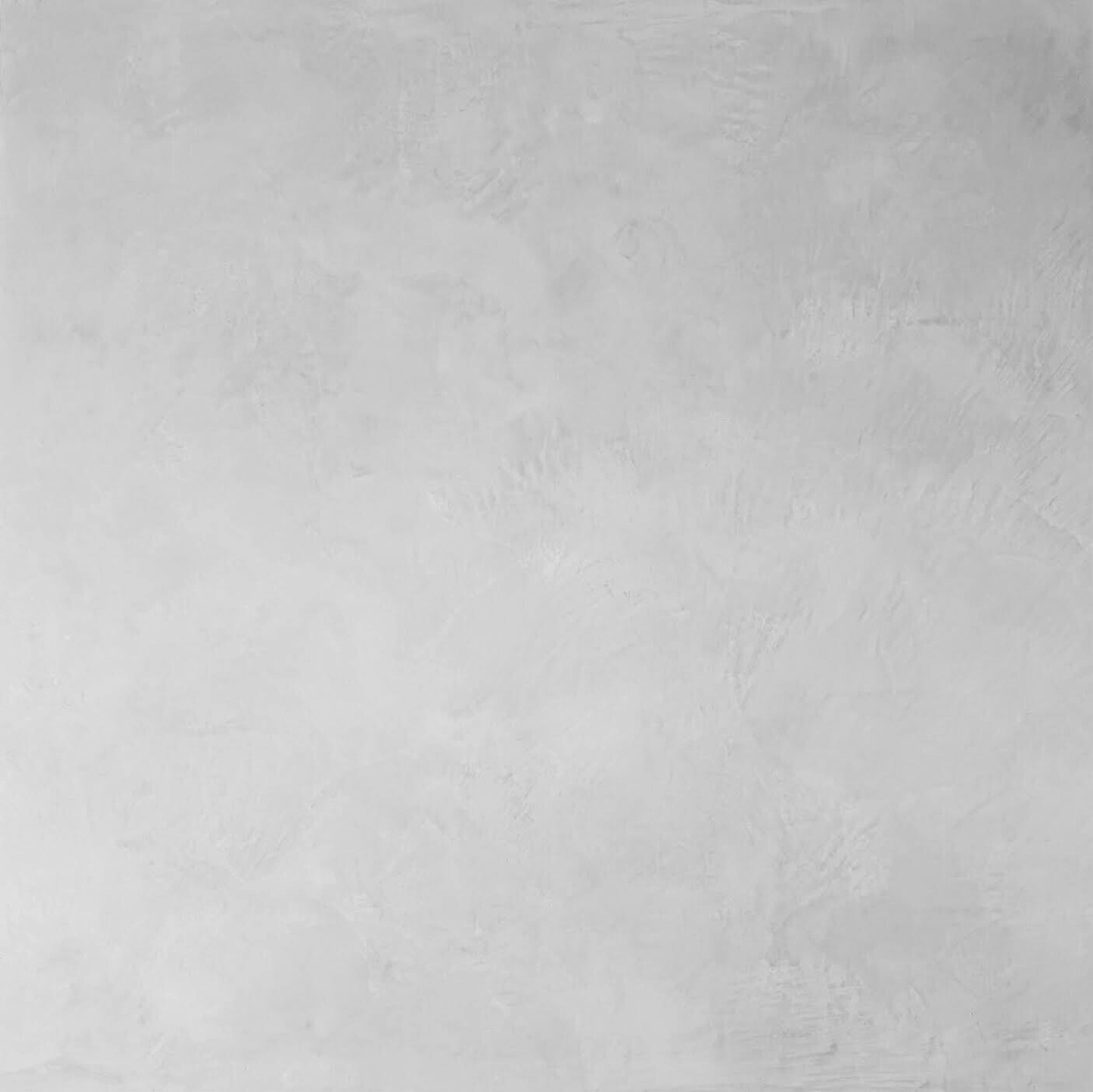 Ergret White Venetian Plaster