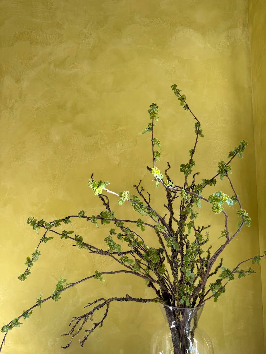 Close up image of a Chartreuse venetian plaster installation in a primary bedroom located in South Carolina. It has a burnish/polish for added depth and movement.