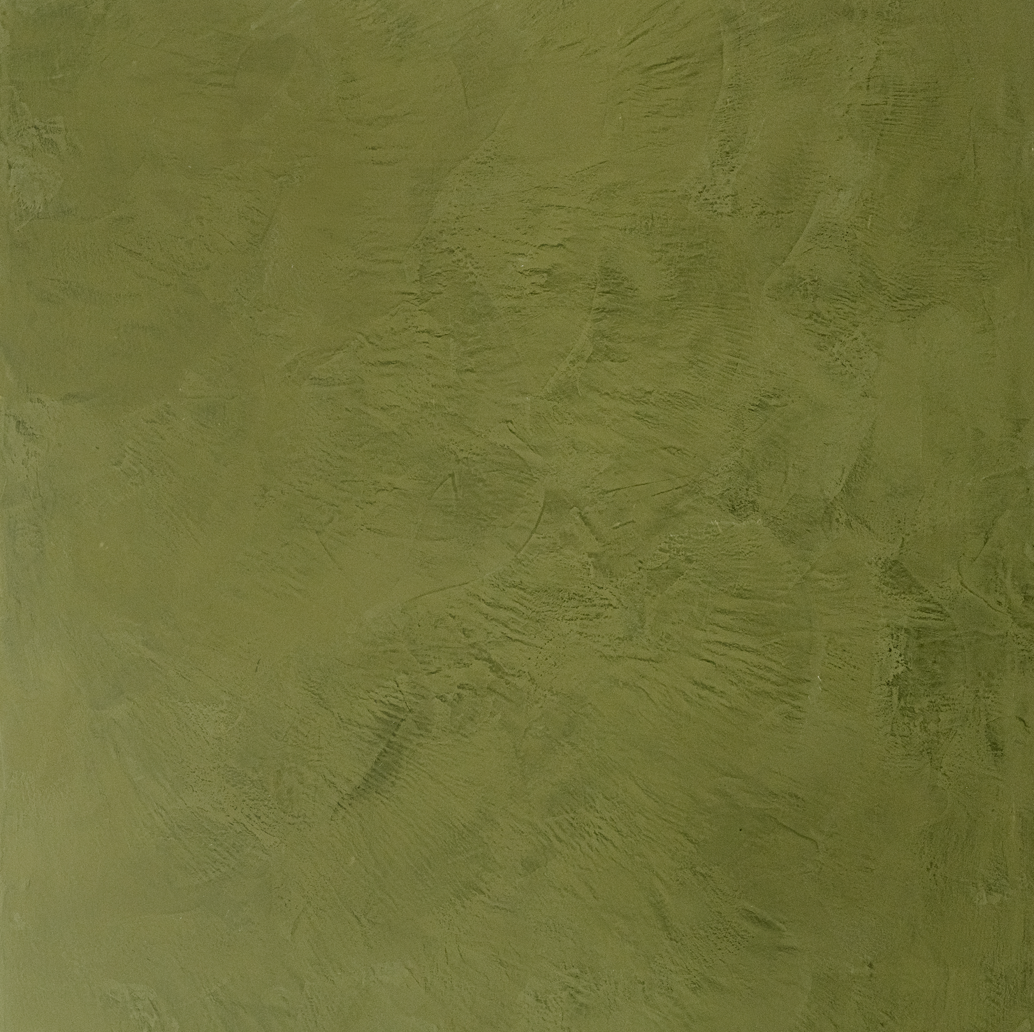 Edamame Venetian Plaster